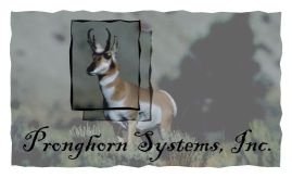 Pronghorn Systems, Inc.
